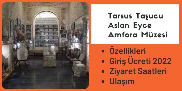 Tarsus Taşucu Aslan Eyce Amfora Müzesi Özellikleri