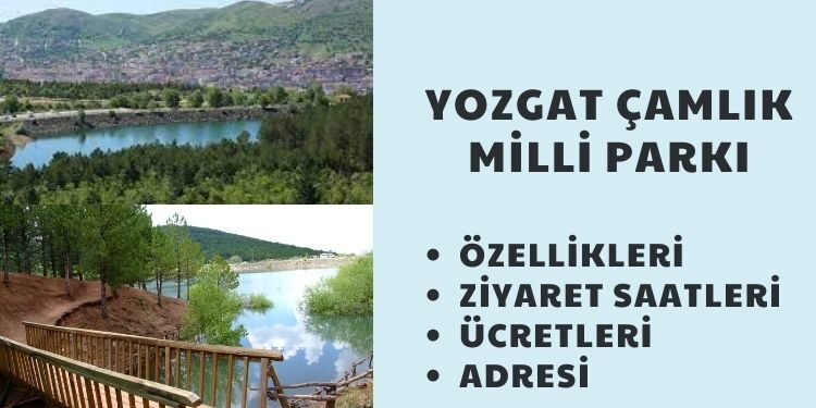 Türkiye'nin İlk Milli Parkı: Yozgat Çamlık Milli Parkı'nda Neler Var?
